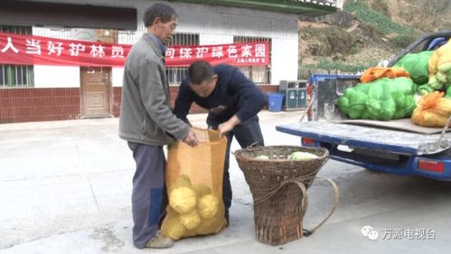 萬(wàn)源 食用農(nóng)產(chǎn)品憑證上市，打造質(zhì)量安全新名片